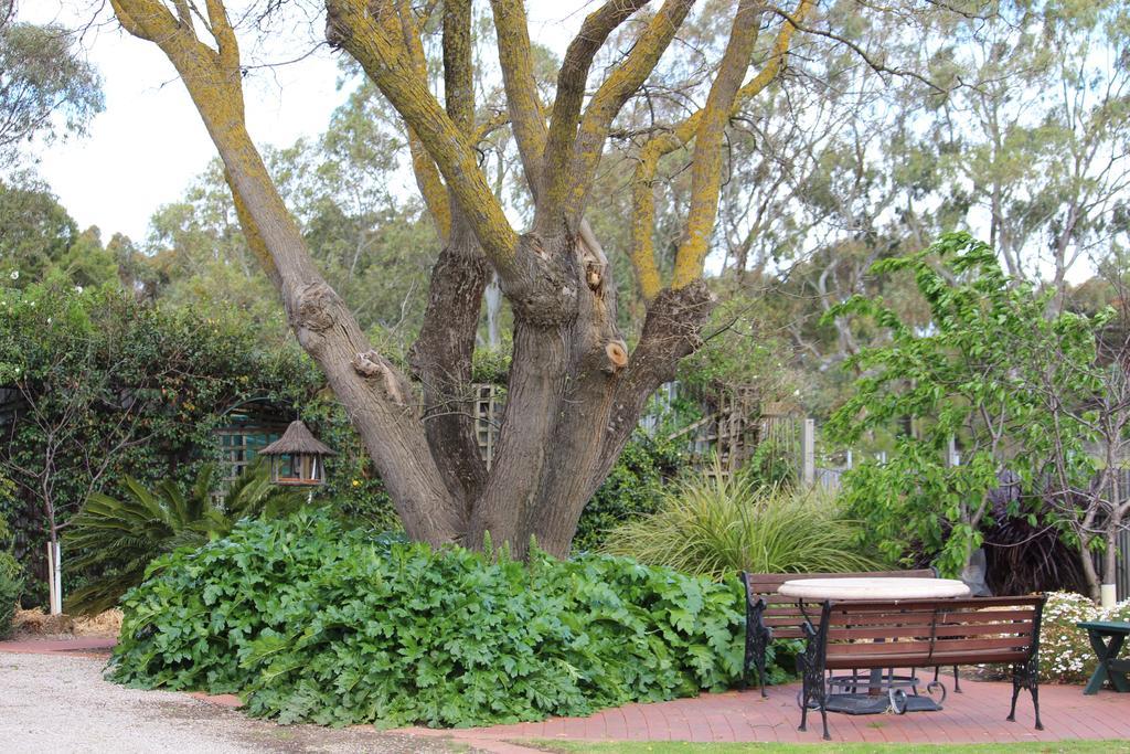 Bed and Breakfast Barossa House Tanunda Pokój zdjęcie