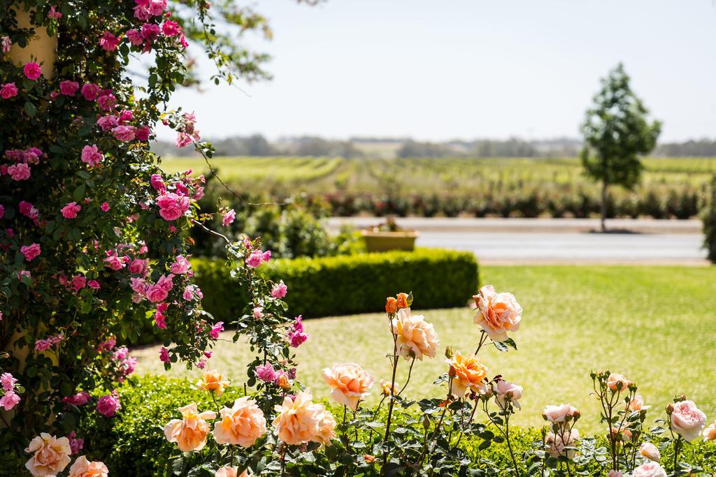 Bed and Breakfast Barossa House Tanunda Zewnętrze zdjęcie
