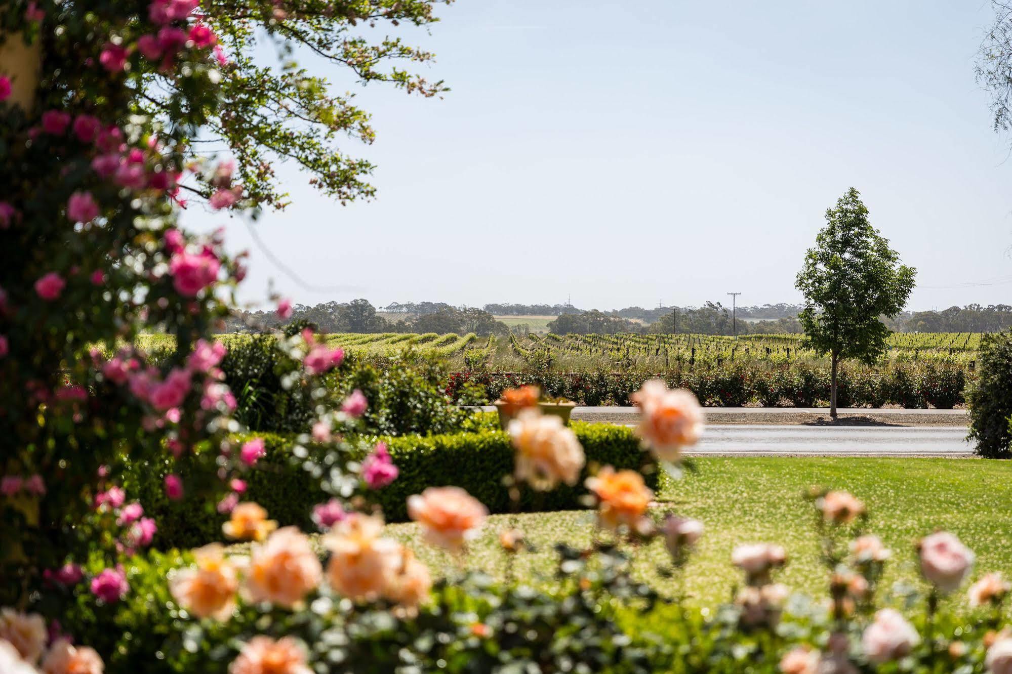 Bed and Breakfast Barossa House Tanunda Zewnętrze zdjęcie