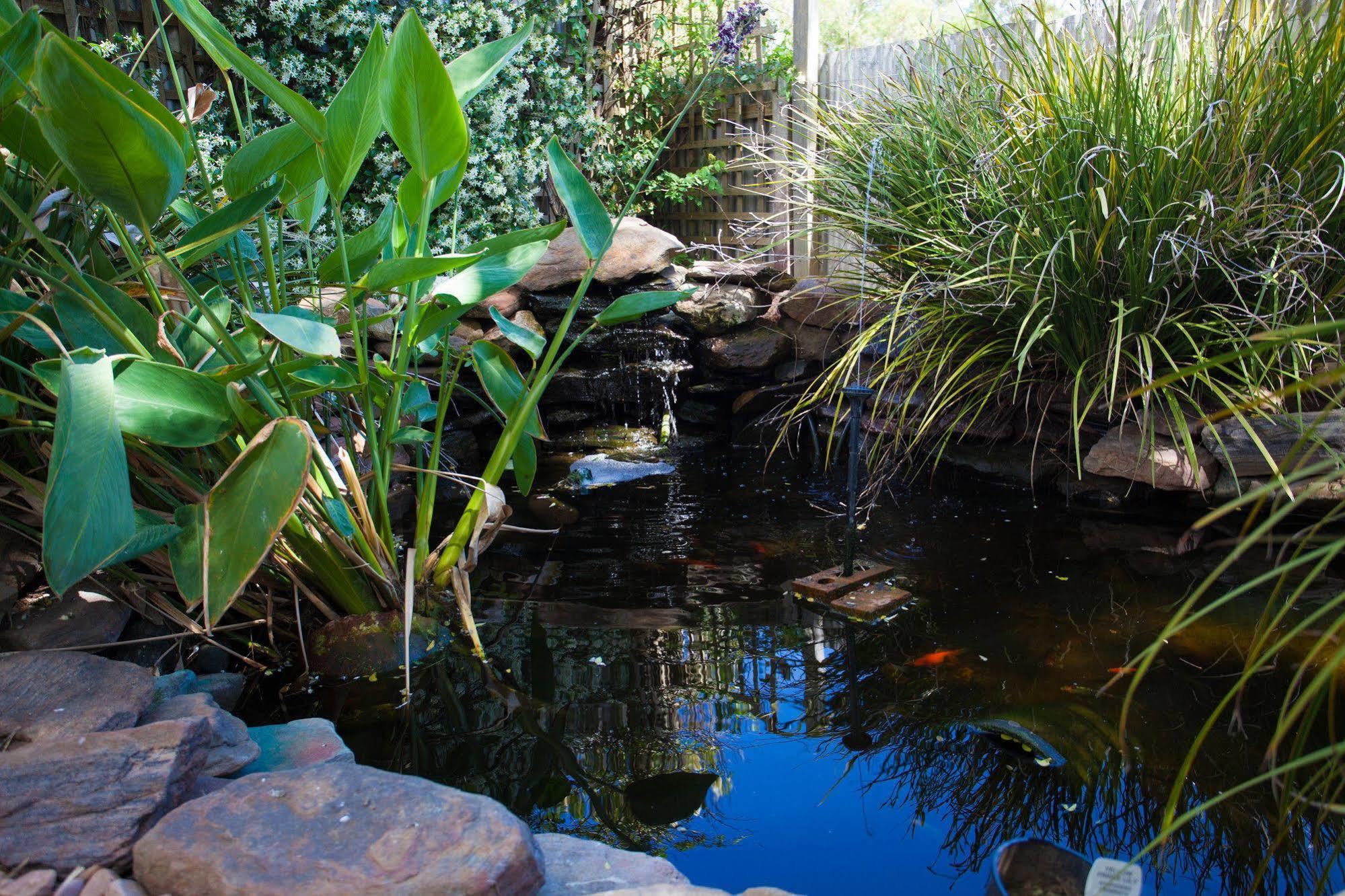 Bed and Breakfast Barossa House Tanunda Zewnętrze zdjęcie